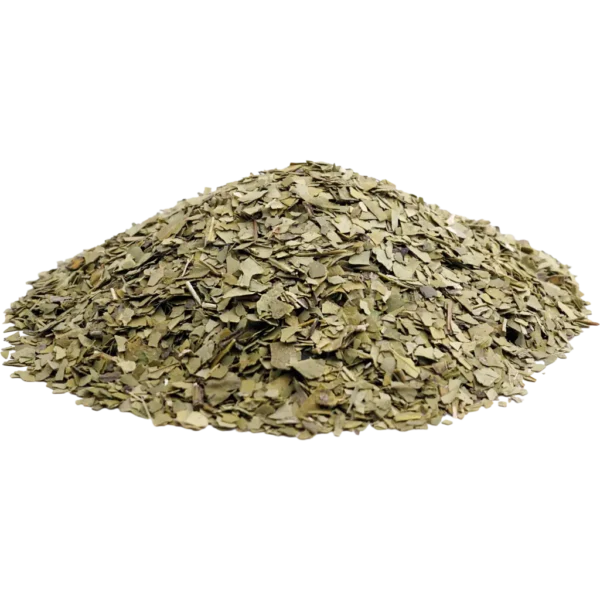 Mate-Tee grün BIO 1